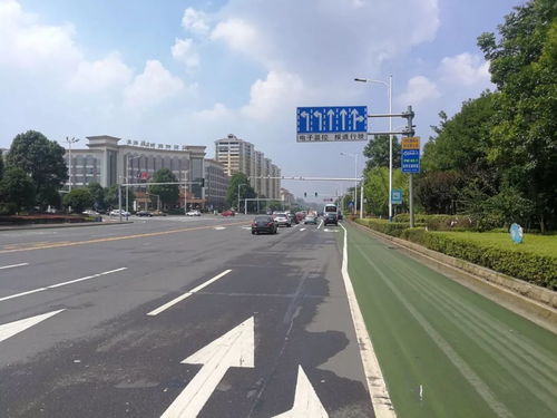 回應市民關切，龍洲路沿線路口交通設施迎升級，道路安全再添新保障